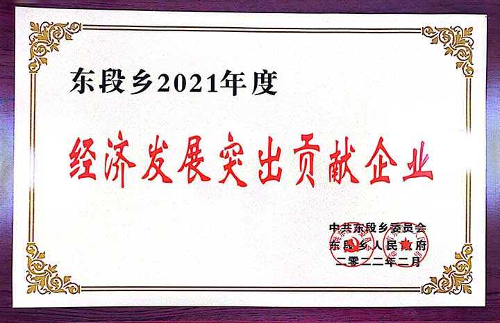 經濟發展突出貢獻企業